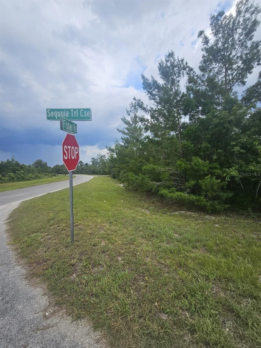 Property Photo: 00 Fisher Road FL 32179