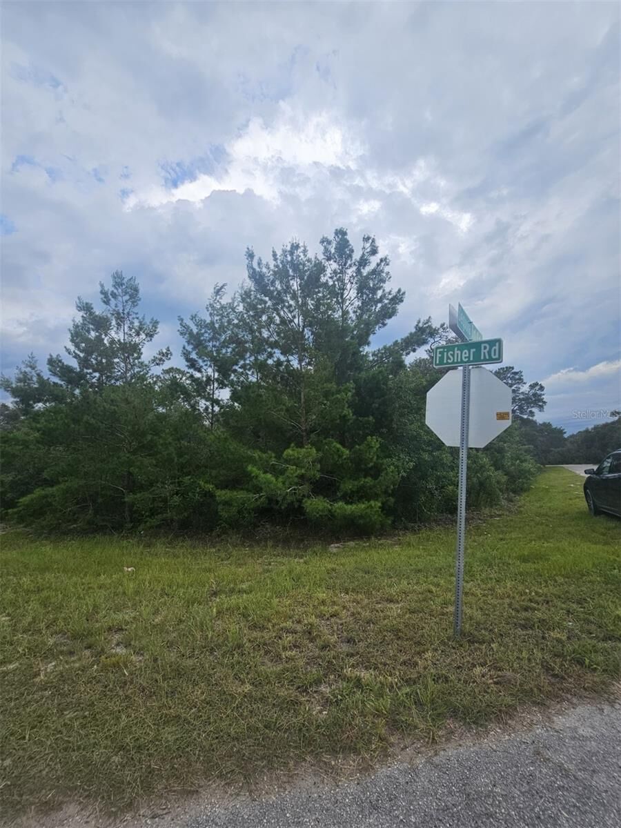 Property Photo: Lot 1 Fisher Road FL 32179