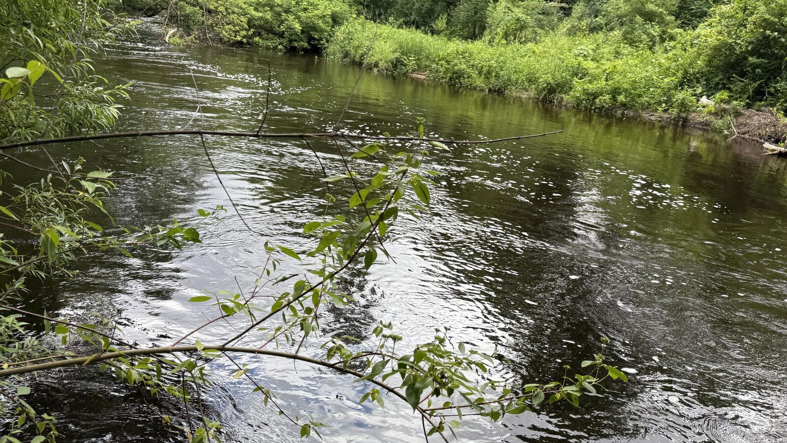 Property Photo:  S Woods Road  MI 49402 