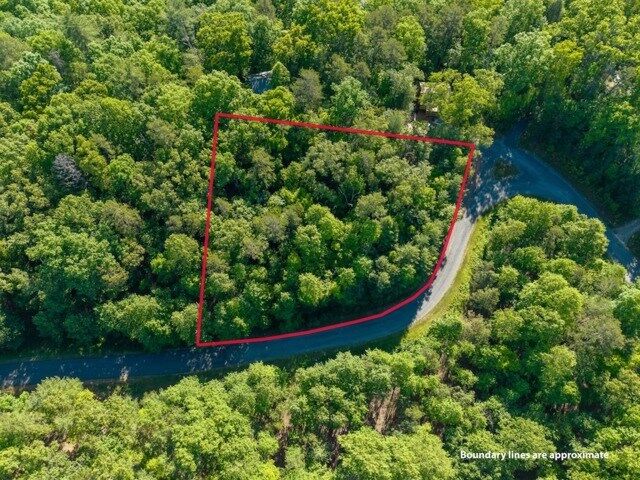Property Photo: Lot 52 Creek Trail GA 30540
