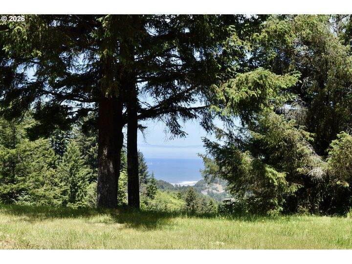 Property Photo:  27961 Thimbleberry Rd  OR 97444 