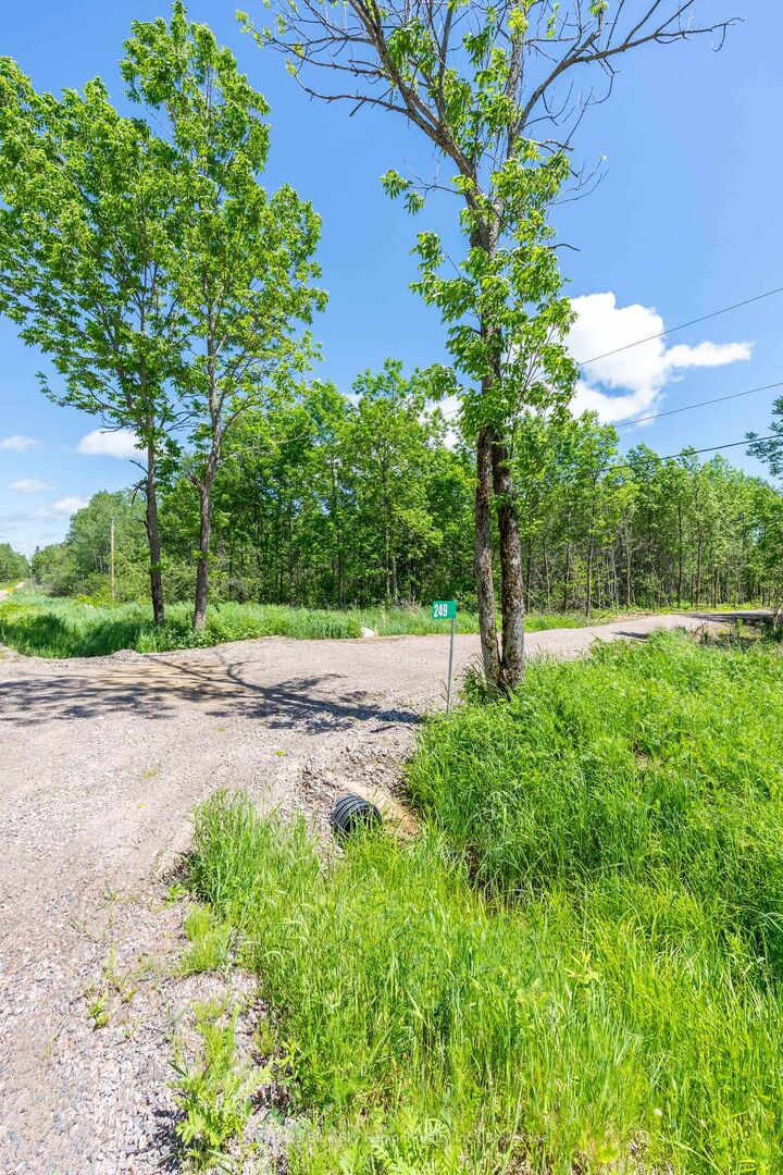 Property Photo:  249 Hills Siding Road  ON P0K 1H0 