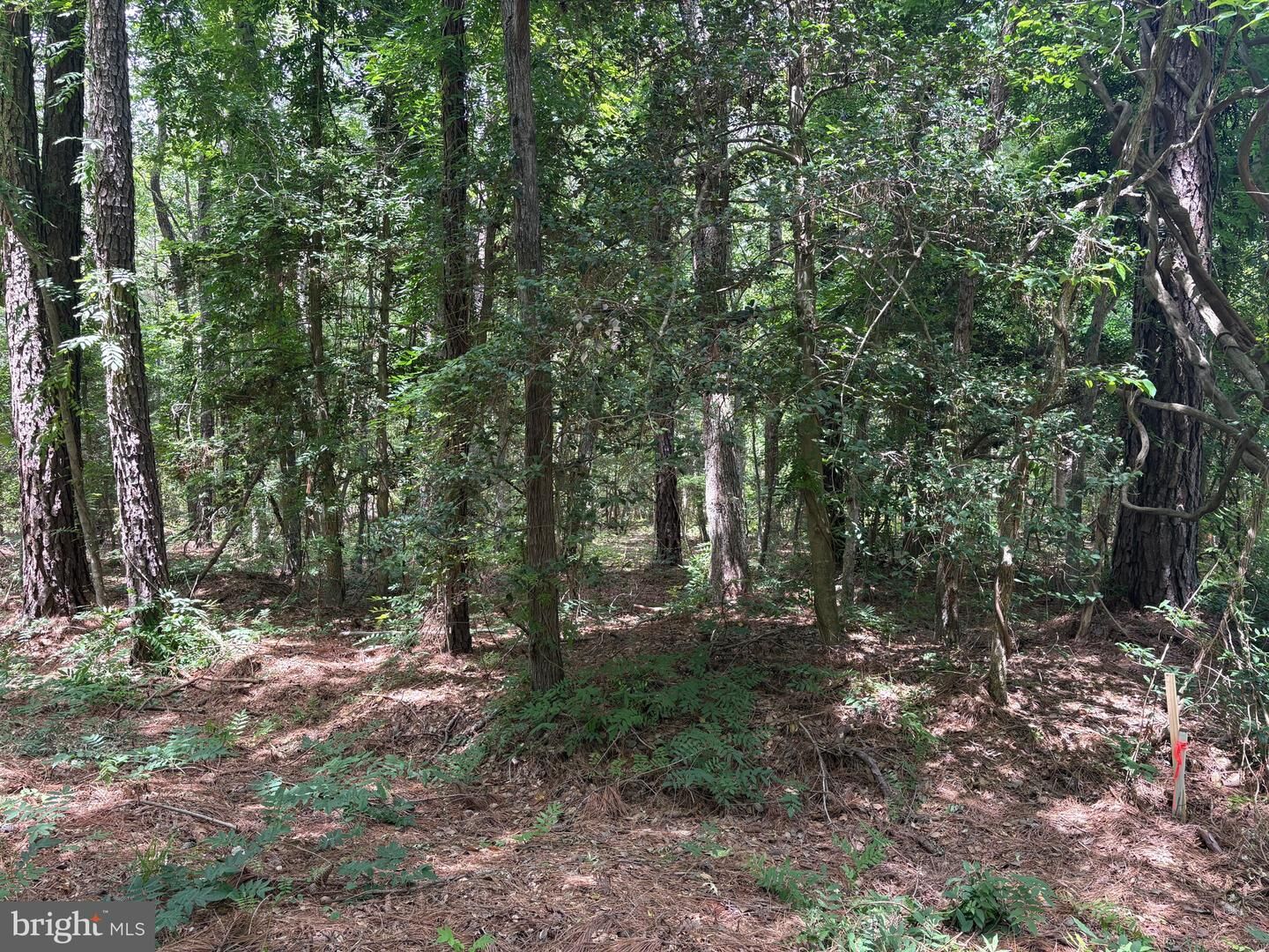 Property Photo:  0 Pioneer Trail  VA 22469 