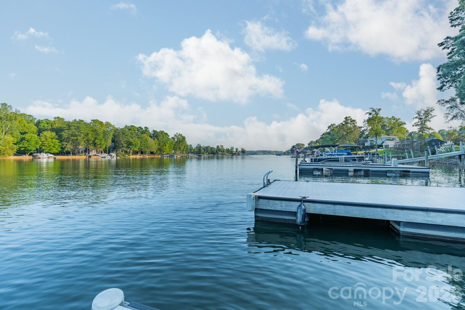 Property Photo: 165 Woodstream Circle NC 28117