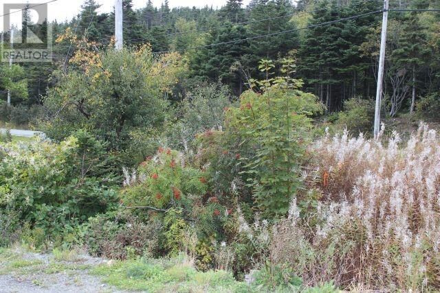 Property Photo:  235-241 Beachy Cove Road  NL A1M 1Z4 