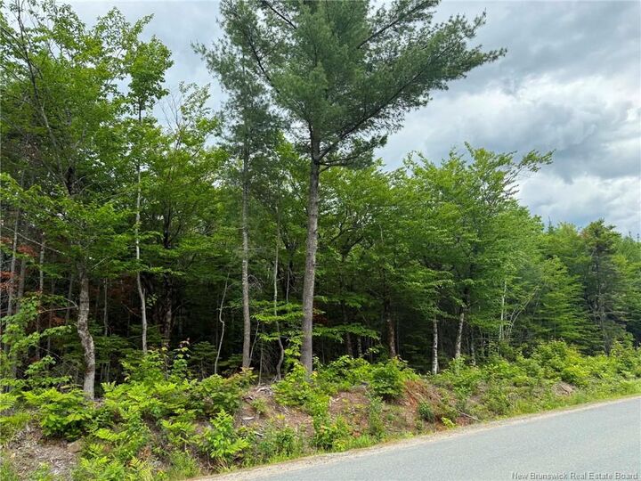 Property Photo:  Lot 3 Hansen Road  NB E1V 3M2 