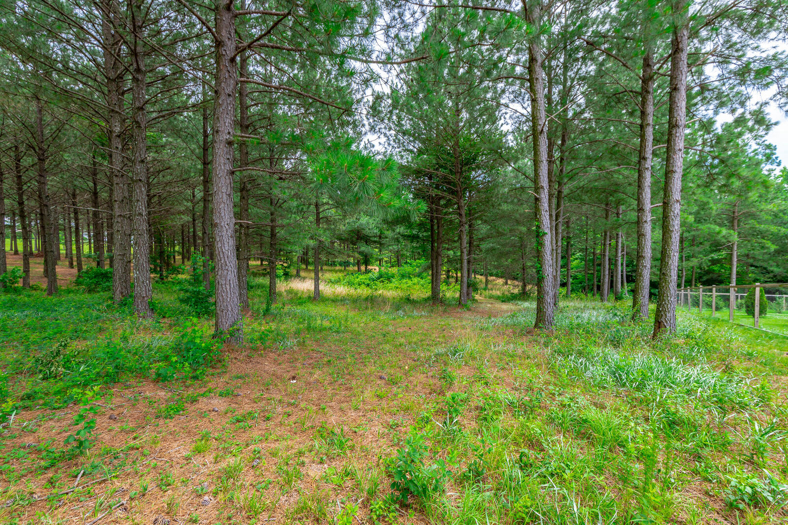 Property Photo:  0 Bobcat Trail  TN 37347 