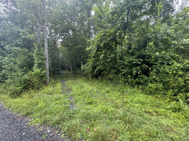 Property Photo: 0 Bacon Falls Road WV 24981