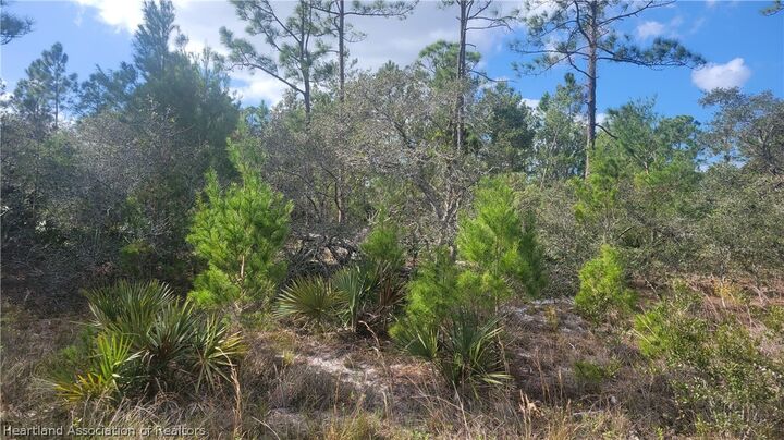 Property Photo: 648 Buchanan Street FL 33852
