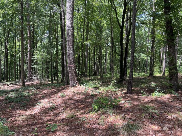 Property Photo: 1577 Pullman Lane GA 30642