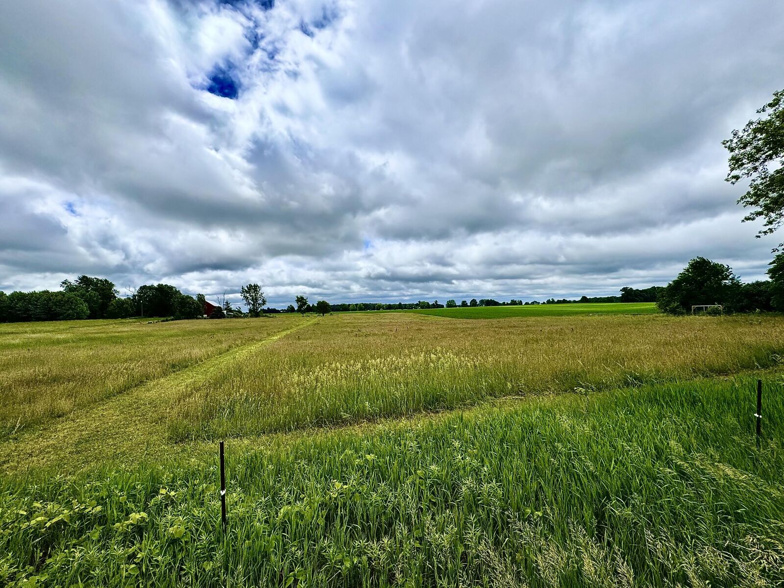 Property Photo: V/L W Lake Montcalm Road MI 49329