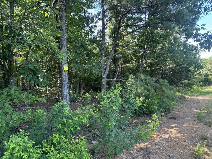 Property Photo:  0 Rustic Pines Rd  TN 37058 