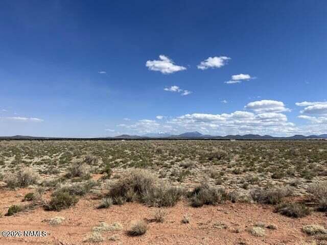 Property Photo:  603 S Wyandotte Road  AZ 86046 