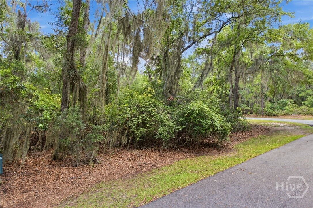 Property Photo:  Lot 67 NE Delegal Drive  GA 31331 