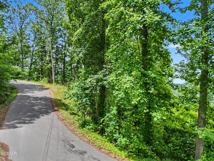 Property Photo:  Lot 571 Village Loop Road  TN 37738 