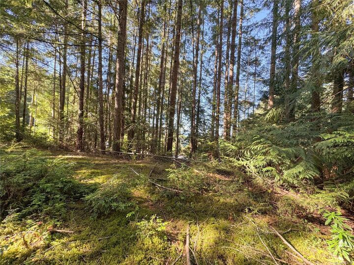 Property Photo:  Lot 2 Wild Cherry Terr  BC V0R 1X5 