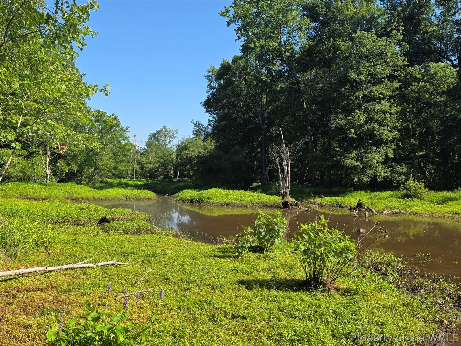 Property Photo:  901 N Airport Drive  VA 23150 