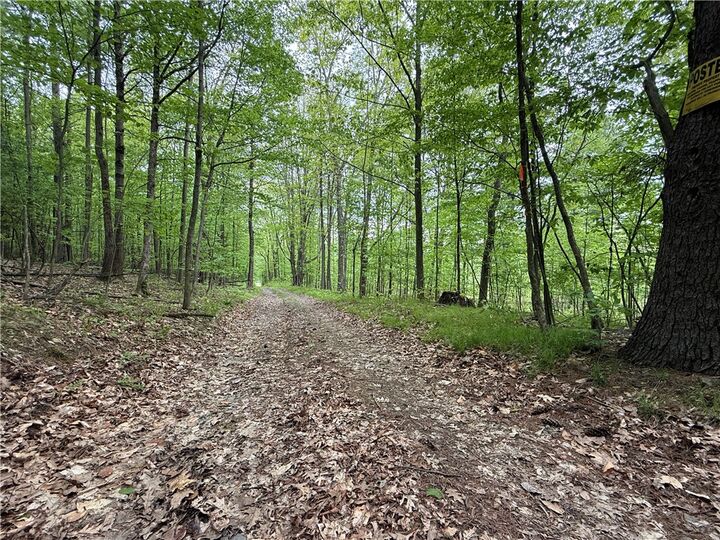 Property Photo:  Hawley Road  NY 14815 