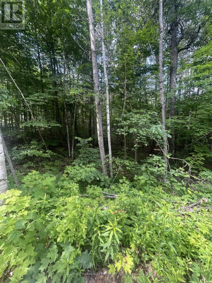 0 Pond Road — photo 1