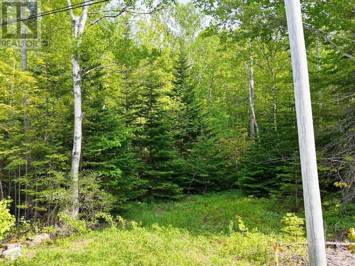 Property Photo: Lot 2, 3, 6 Leitches Creek Rd NS B2A 4A5