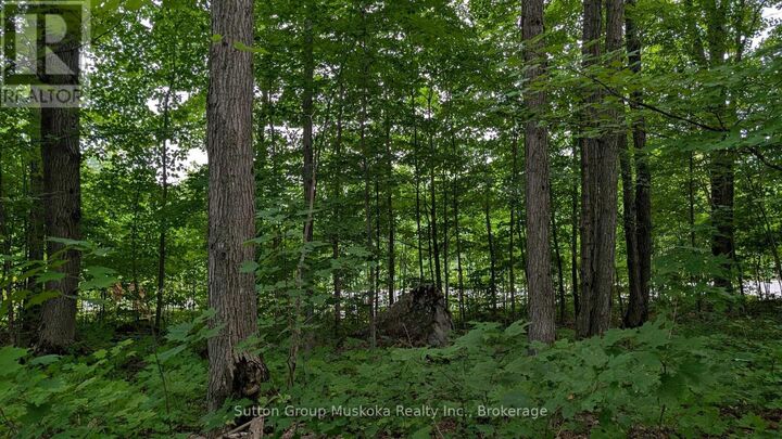 837 Aspdin Road — photo 1