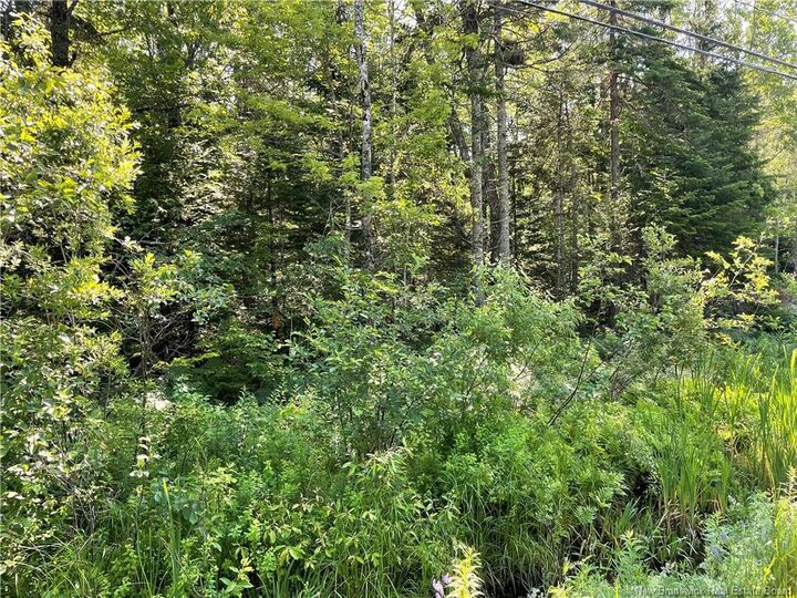 Property Photo:  Lot 1 Route 490  NB E1G 3J4 