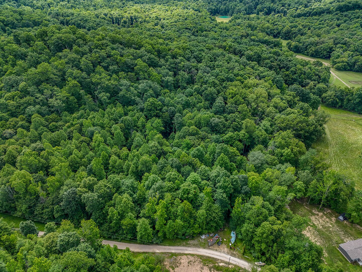 Property Photo: Tbd Farmhouse Trail 91 Acres Land KY 40351