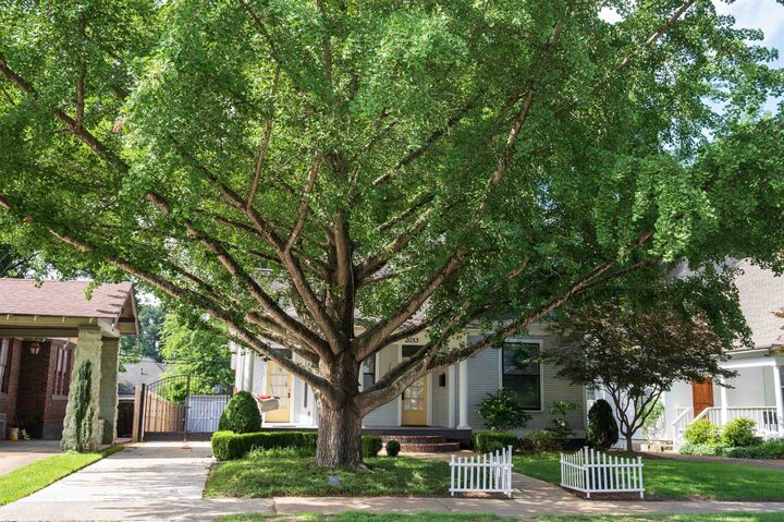 Property Photo: 2053 Oliver Ave TN 38104