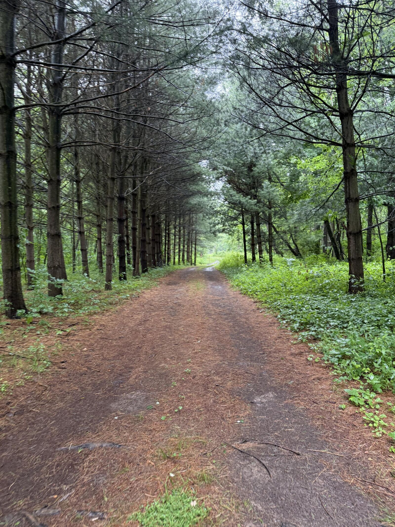 Property Photo: V/L Calvin Center Road MI 49031