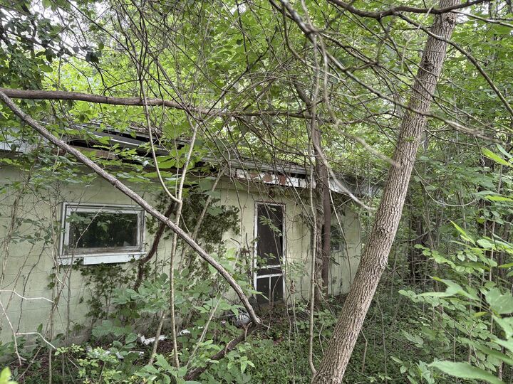 Property Photo: 3258 Grassy Road IL 62902