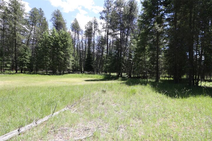 Property Photo:  Nhn Lot 6 Graves Creek Road  MT 59873 