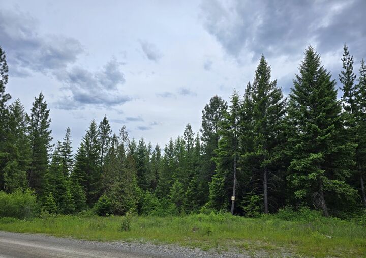 Property Photo:  4577 Quartz Creek Road  MT 59923 