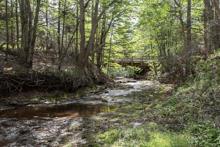 Property Photo:  11085 Shore Road  NS B0S 1P0 