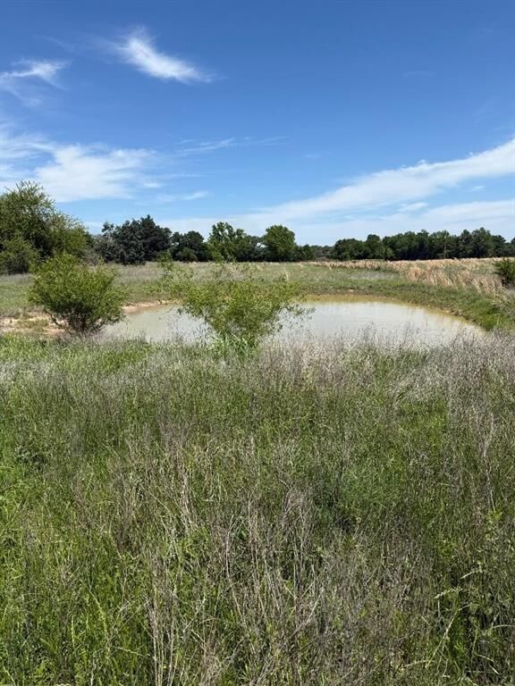 Property Photo: Tbd 3 County Road 122 TX 75142