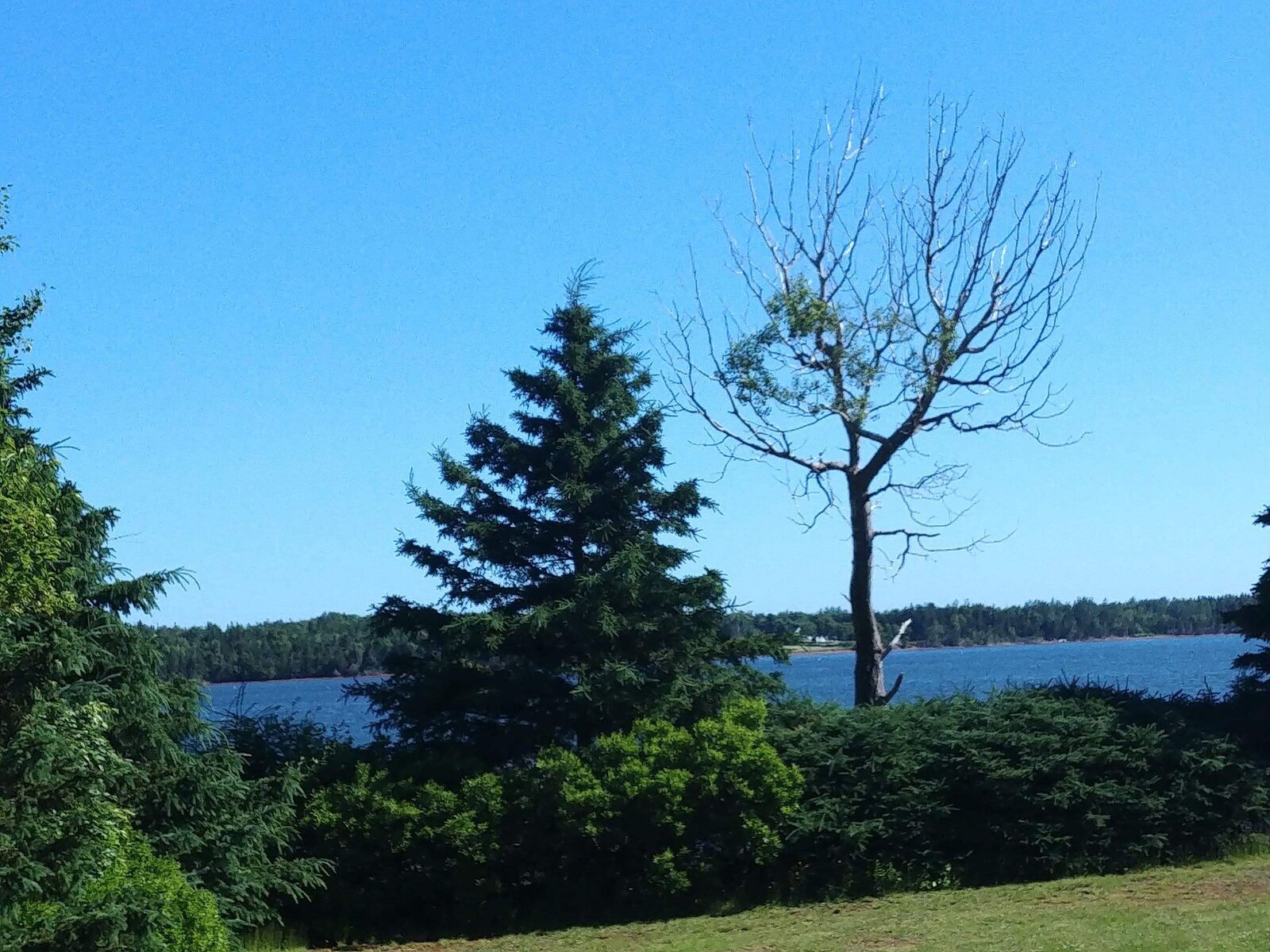 Property Photo: Lot 6 Birch Lane PE C0A 1L0
