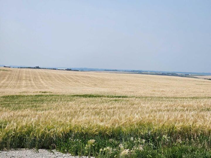 Property Photo: Symons Valley AB T4B 3L5