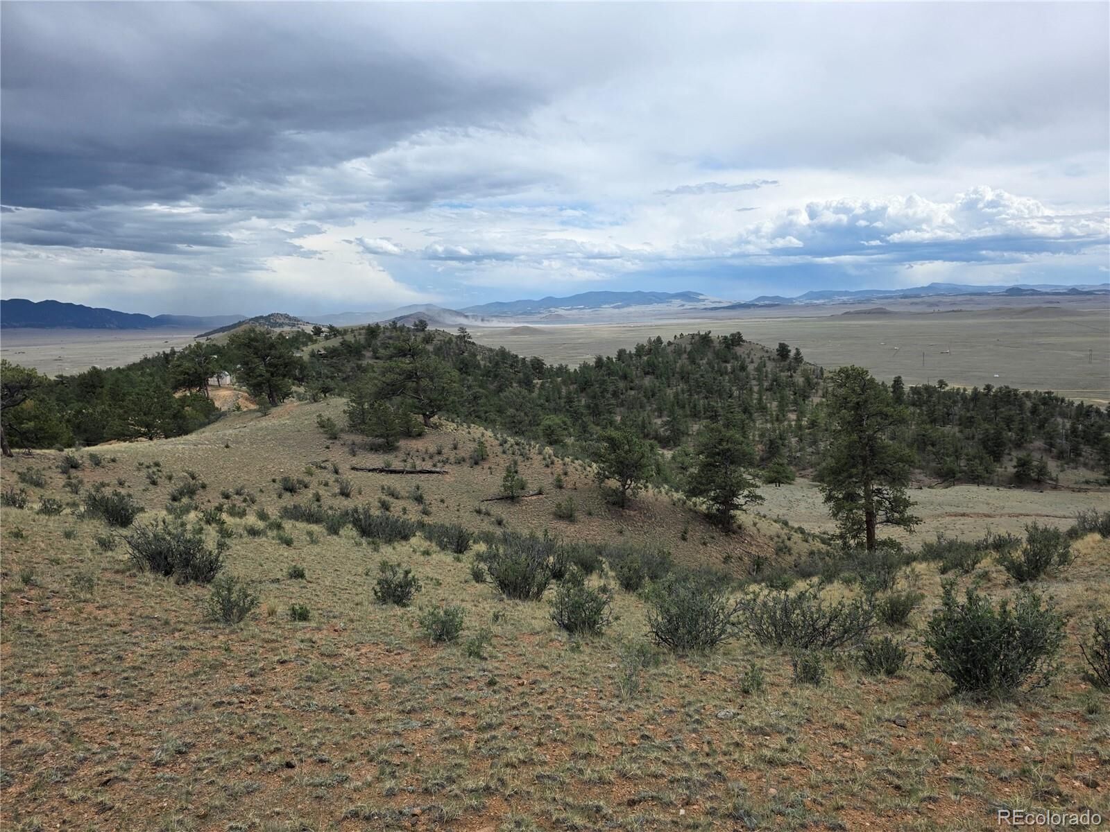 Property Photo:  902 Settele Drive  CO 80449 