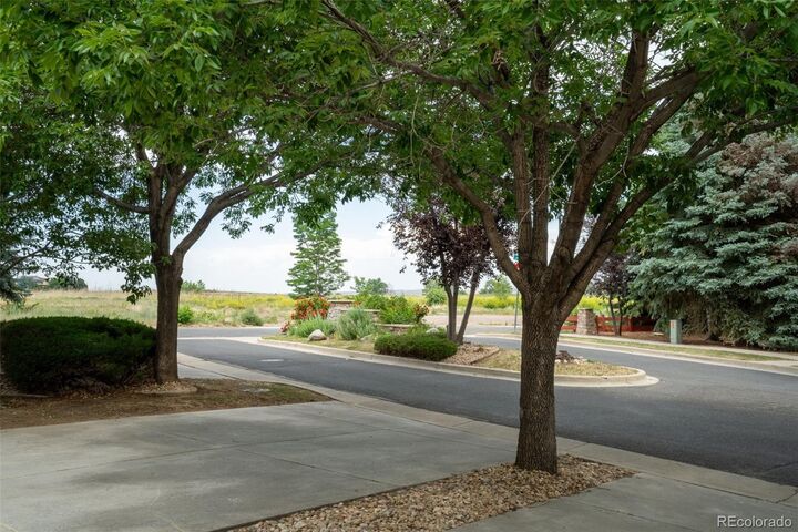 Property Photo: 689 Wild Ridge Lane CO 80026