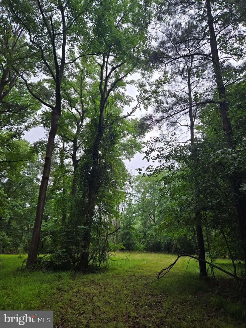 Property Photo:  Cooper Road  MD 21822 