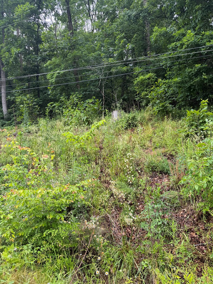 Property Photo:  00000 Bob O Link Trail  KY 41129 