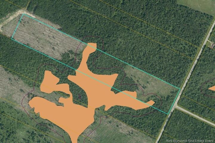 Property Photo:  Acreage Route 445 Legaceville Road  NB E9G 3B8 