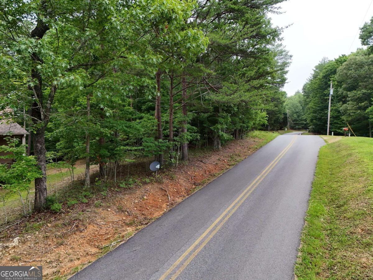 Property Photo:  Lot 3 Cook Henry Road  GA 30512 
