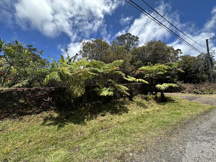 Property Photo:  Hohiu St  HI 96771 