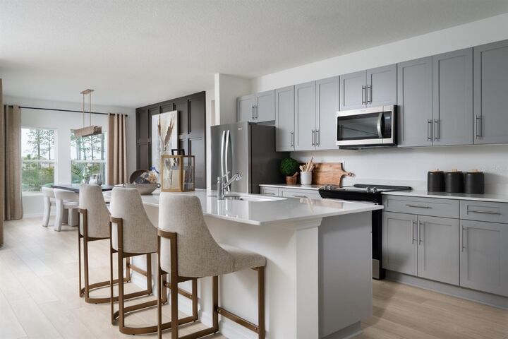 Property Photo:  31699 Oyster Trellis Lane  FL 33545 