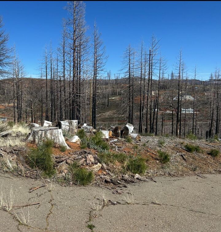 Property Photo:  4855 Creekside  CA 95636 