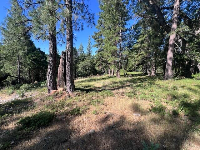 Property Photo: 0 Spirit Lane CA 95726