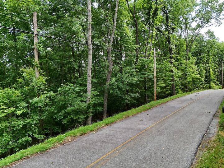 Property Photo:  Lot 131 Laurel Crossing  GA 30513 