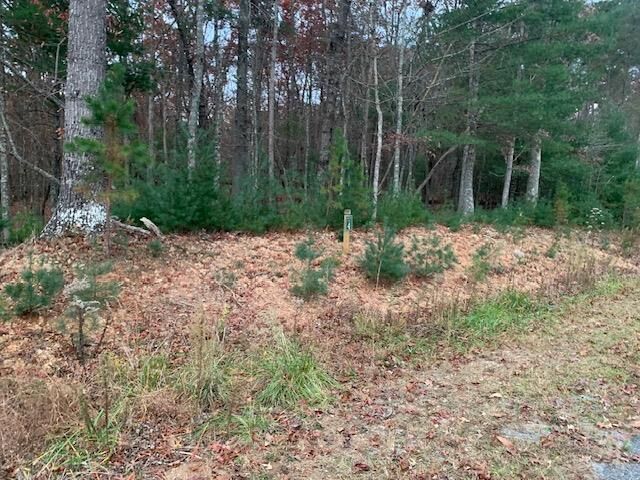 Property Photo:  Lot 4 Courtney Lane  GA 30512 