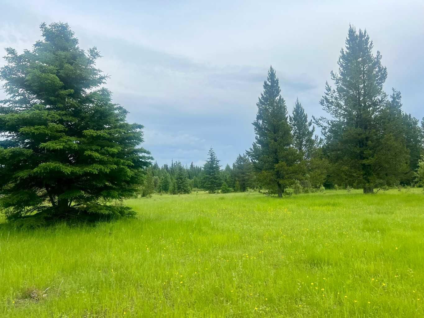 Property Photo: Lot 7 Twp Rd 534 AB T7E 1V6