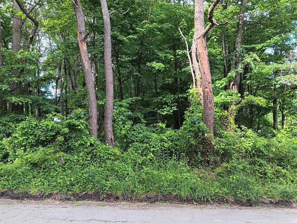 Property Photo:  0 Pletcher Rd  PA 15490 